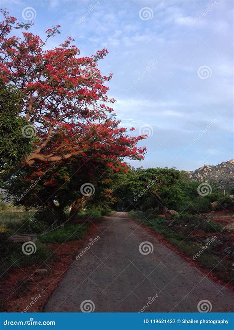 Horsley Hills Chittoor Andhra Pradesh Stock Image Image Of Horsley