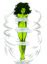 Sexy She Hulk By Slomo Hentai Foundry