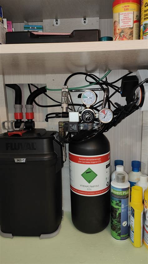 Длинностебельные растения