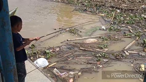 Target Baung Lele Spot Sebrang Kota Jambi Jembatan Penyebrangan Gentala