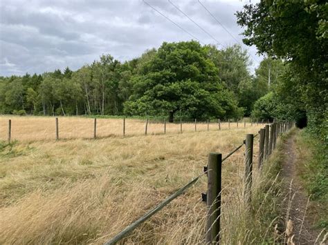 Grazing South Of Ashe Park Copse Mr Ignavy Geograph Britain And