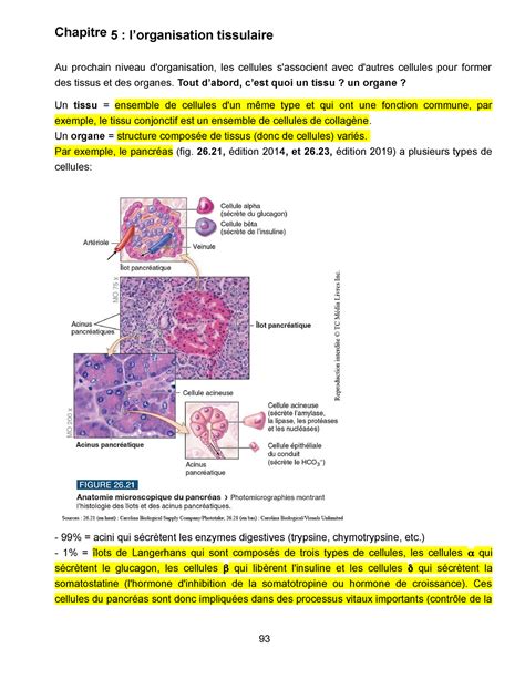 Notes De Cours Bio I Chap 5 Vf 2019 08 28 Chapitre 5 L