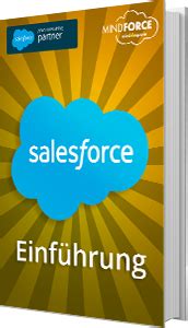 Salesforce Berechtigungen Arten Der Berechtigungsvergabe Mindsquare