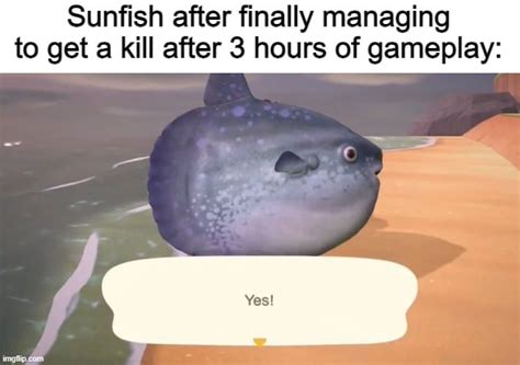 funfish ofial rdeeeepio