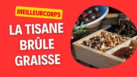 LA MEILLEURE TISANE BRÛLE GRAISSE POUR PERDRE DU POIDS RAPIDEMENT