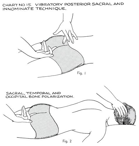 Polarity Therapy Volume Book Chart