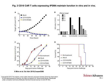 Fig 4 PSMA PET CT Enables Visualization Of CD19 TPSMA N9del CAR T