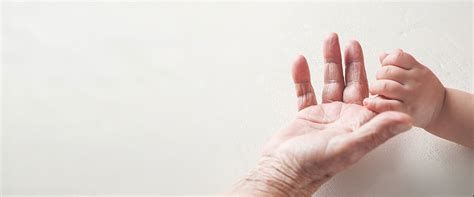 Carnosine: A Remarkable Ingredient for Skin and Health