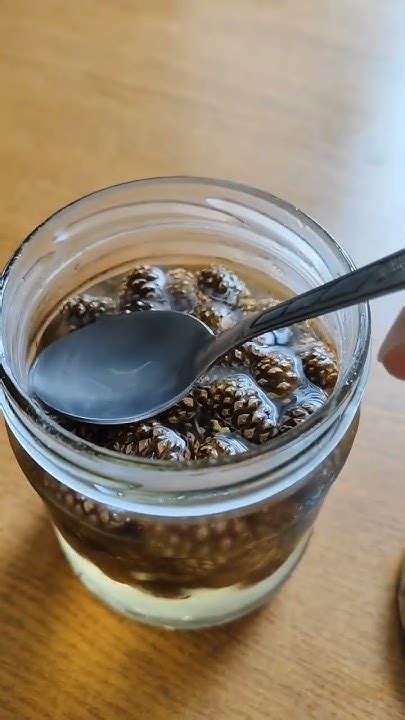СОСНОВЫЕ ШИШКИ. РЕАЛЬНО ПОМОГАЮТ ОТ КАШЛЯ!!! #шишкисосоновые # ...