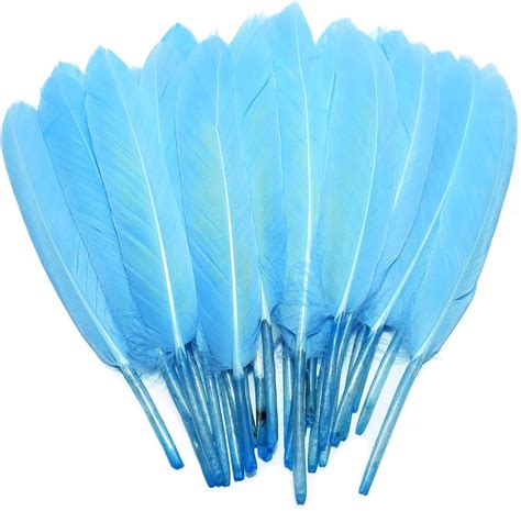 Amazon Feelfunfeather Pcs Sky Blue Goose Cochettes Feather