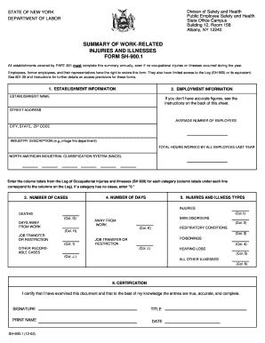 Fillable Online Questar Summary Of Work Related Sh 9001 Form Fax Email