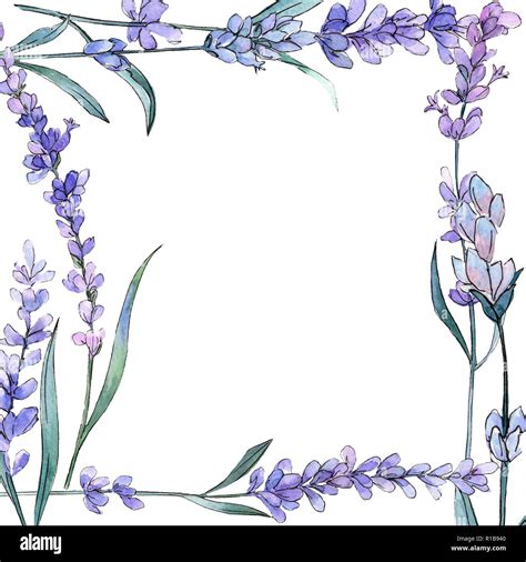 Lavender Flower Border Design