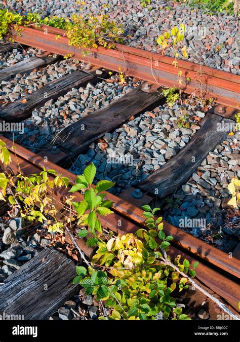 Overgrown Railway Track Hi Res Stock Photography And Images Alamy