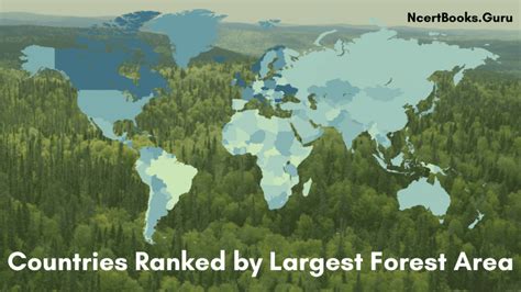 Countries Ranked By Largest Forest Area Top Forest Covered Countries