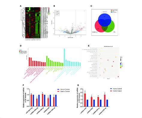 Profiling Of Mirnas In The Tissues From Gc Patients With N And N