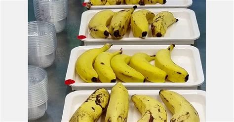 New banana varieties set to provide Aussie consumers with greater ...