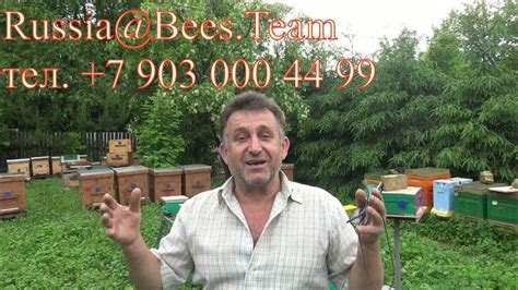 Пчеловодные весы общаются со мной по смартфону - YouTube