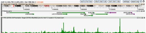 iDeal ChIP-seq kit for Transcription Factors x24