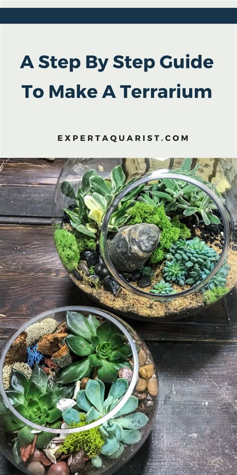 How To Make A Terrarium Simple Steps To Follow How To Make