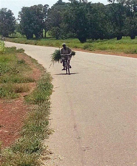 Armed Bandits Extort Crop Farmers Amid Dwindling Alternative Illicit