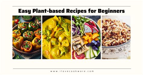 10 Easy Plant Based Recipes For Beginners