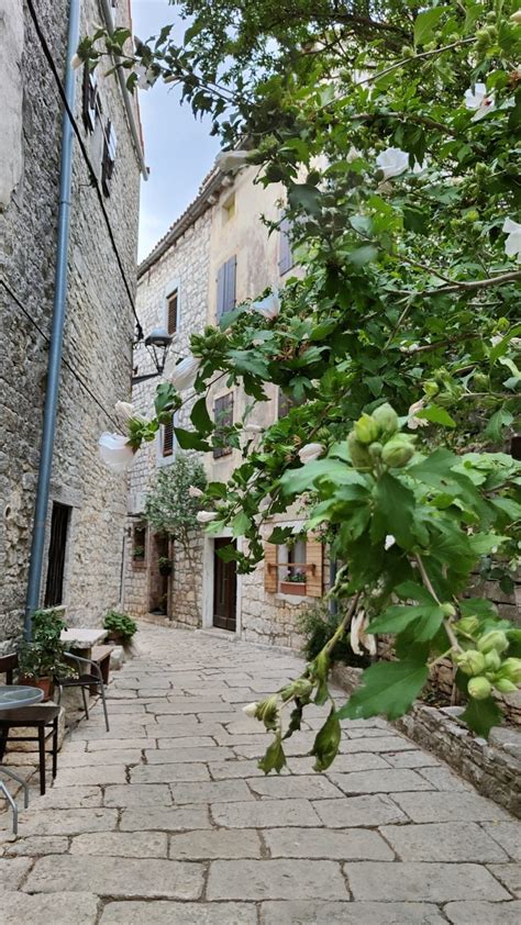 Cosa Vedere In Istria Borghi E Citt Da Non Perdere