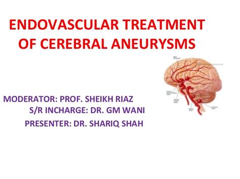 Endovascular Treatment Of Cerebral Aneurysms