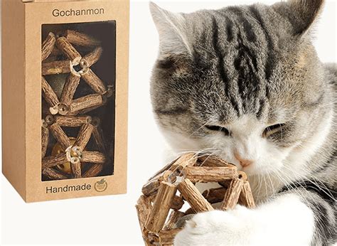 Chewy Cat Toys: Perfect Fun for Your Feline Friend!