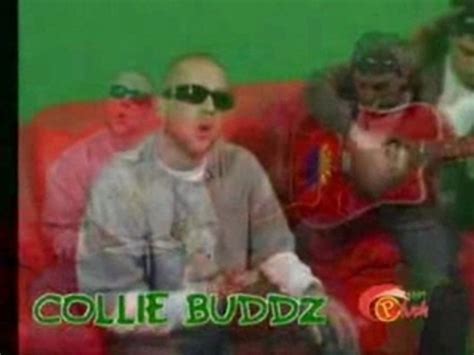 Collie Buddz Come Around Vidéo Dailymotion