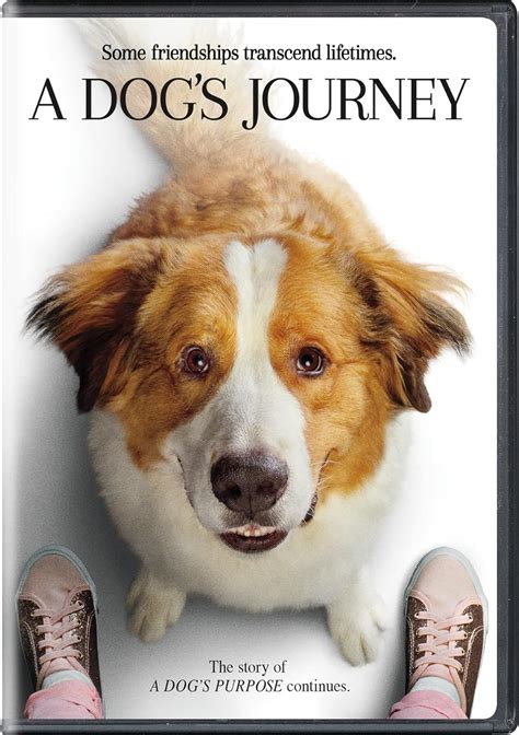 A Dogs Journey Dvd Marg Helgenberger Betty Gilpin