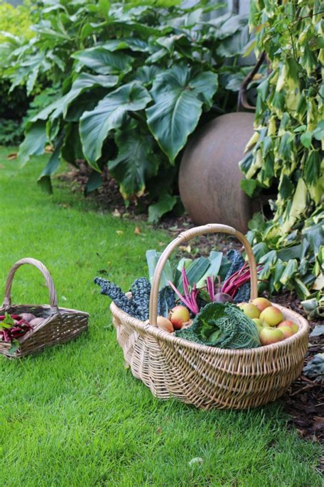 Essential Benefits Of Gardening For Better Health Well Being Blog