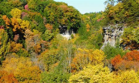 Check Out The Fall Foliage In Hocking Hills Ohio Ohio Fall Foliage