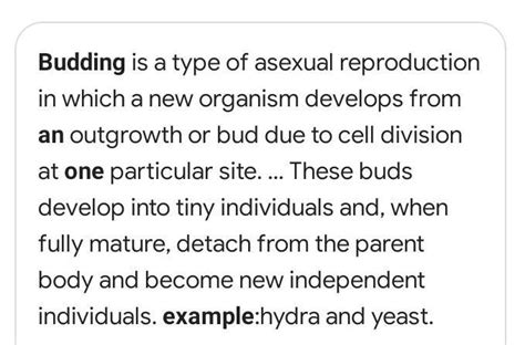 Definition Of Budding For Class 59 Off