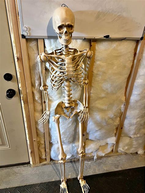 Buy and Sell in Black Mountain, North Carolina | Facebook Marketplace