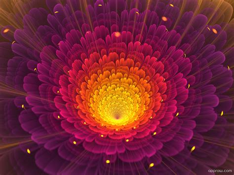 Radiant Flower Wallpaper download - Abstract HD Wallpaper - Appraw