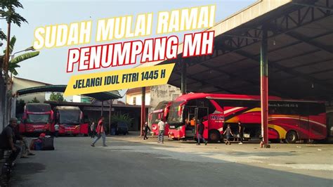 Sudah Mulai Ramai Kedatangan Penumpang Di Loket Makmur Halmahera Youtube