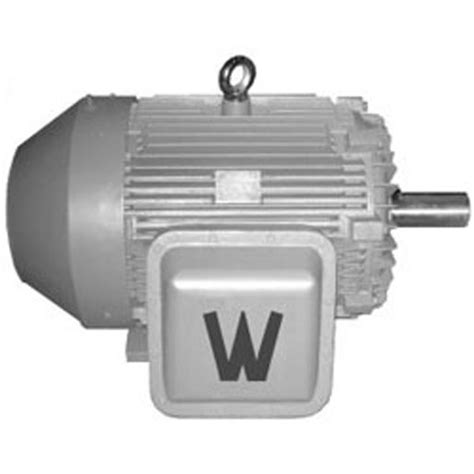 Xwwe5 18 184t Worldwide Electric Motor De Corriente Alterna Bdi