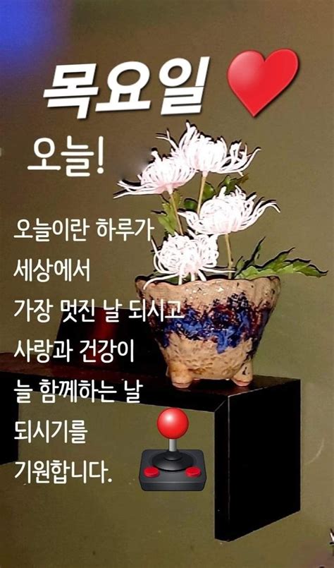 아침 인사에 있는 Yong C님의 핀 2024 좋은 아침 인사 아침 인사 아름다운 자연