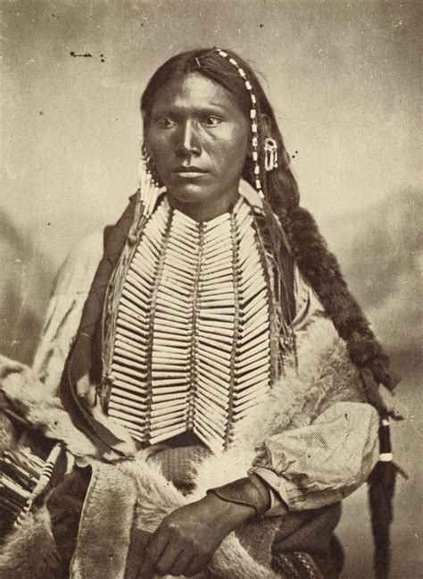 195 Best Images About Black Indians Afro Native Americans On Pinterest Native American Indians