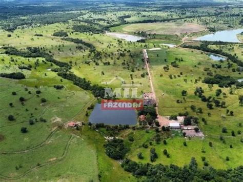 Fazenda Pecu Ria Piv Alqueires Hectares Crixas Go