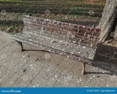 Bird Droppings On Wooden Bench In The Park Splatters Of Bird Feces On