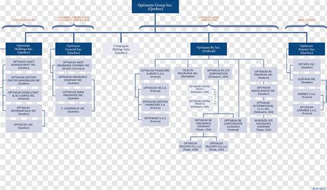 Organizational Chart Business Organizational Structure Service