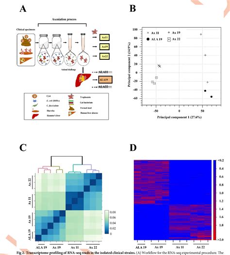 Figure 2 From Gene Expression Of Axenically Isolated Clinical Entamoeba