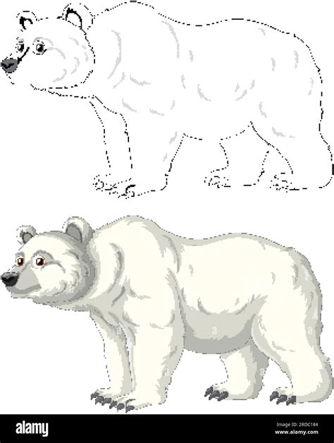 A Vector Cartoon Illustration Of A Polar Bear Outline For Colouring