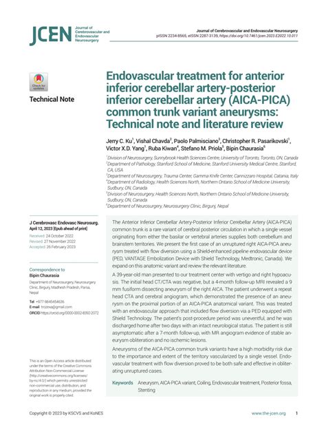 PDF Endovascular Treatment For Anterior Inferior Cerebellar Artery