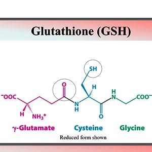 Amazon Glynac Et Nac Supplement N Acetyl Cysteine Ethyl Ester