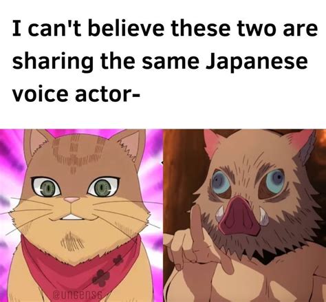 Unbelievable Connection: Japanese Voice Actor for Saiki Kusuo and ...