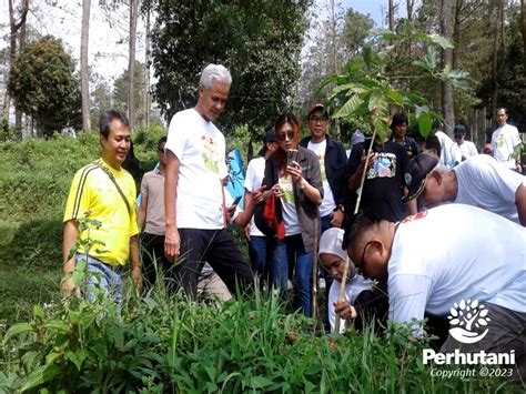 Perhutani Perhutani Bersama Gubernur Jawa Tengah Dan Majestic Tanam