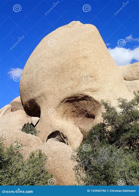 Skull Rock Joshua Tree National Park - USA America Stock Photo - Image ...