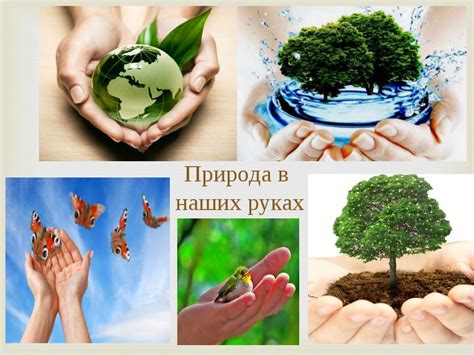 Охрана Природы Картинки — Mixyfotos.ru